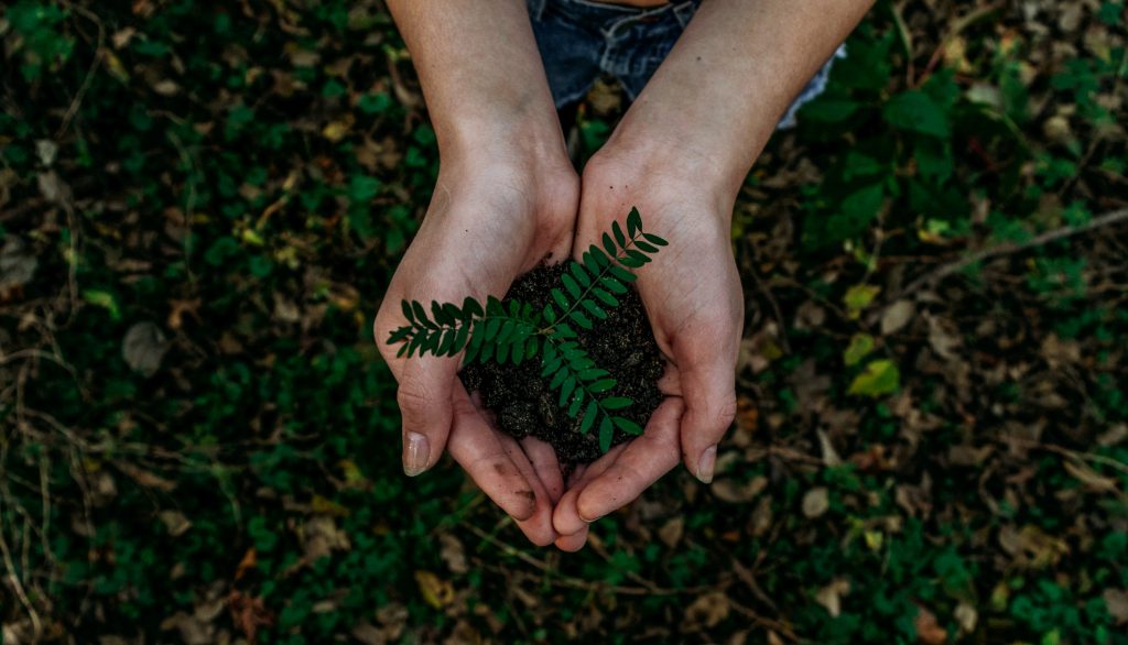 Transition écologique : 10 mesures pour les TPE-PME